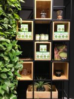 ماچا نرمال ماچانو - Image 12