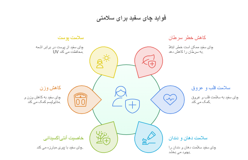 خواص چای سفید بر سلامتی