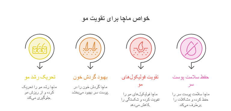 تاثیر چای ماچا روی مو