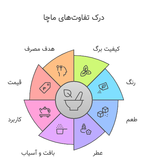 تفاوت های ماچا