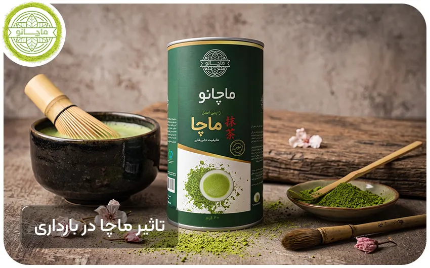 فواید ماچا در دوران بارداری